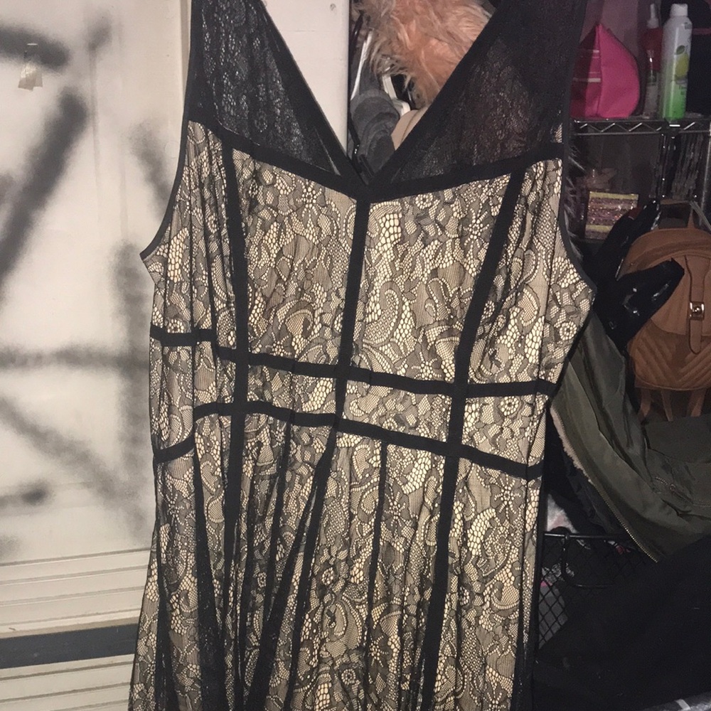 Elegant Black and Cream Lace Dress